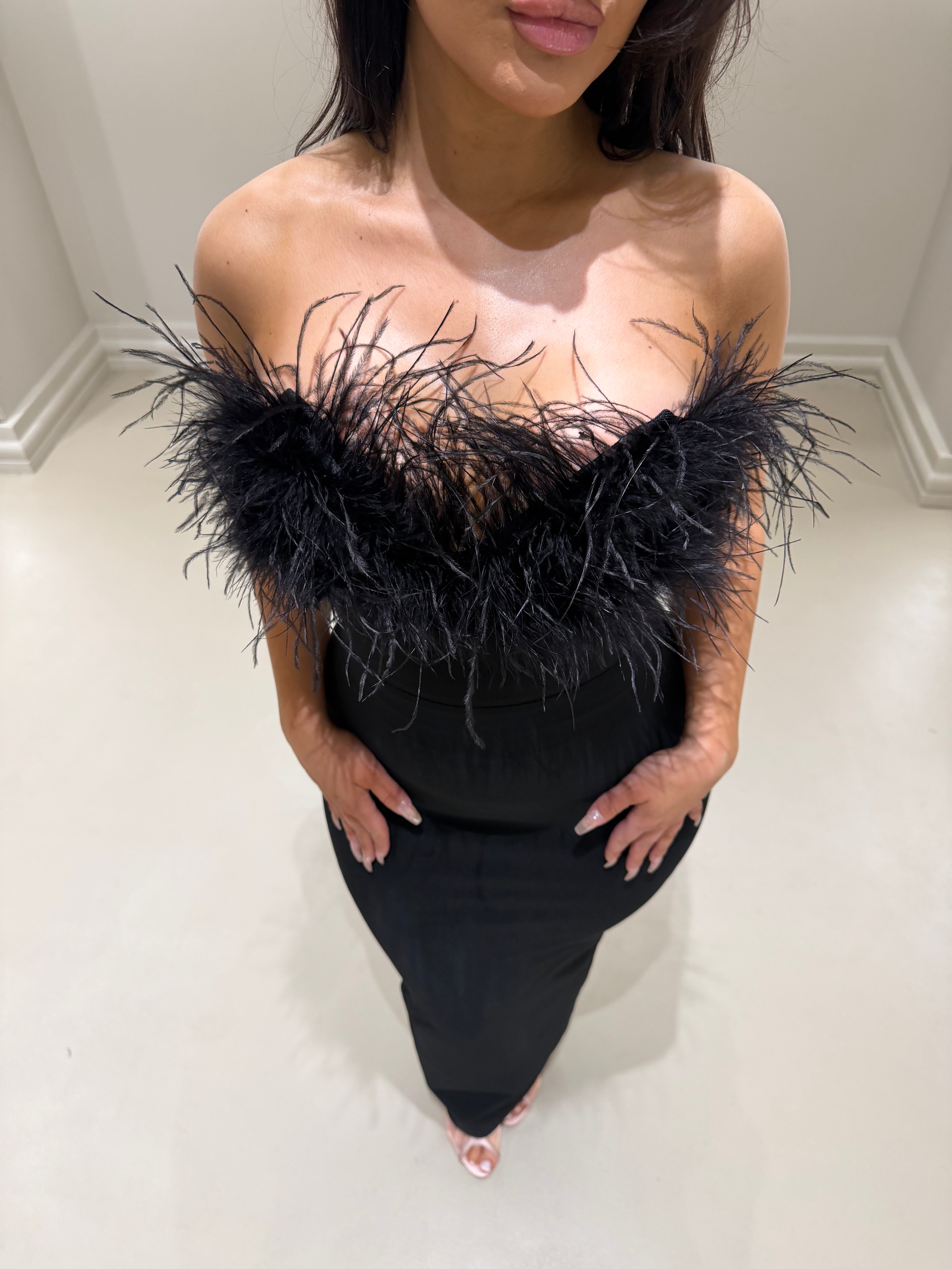 Black Swan Dress